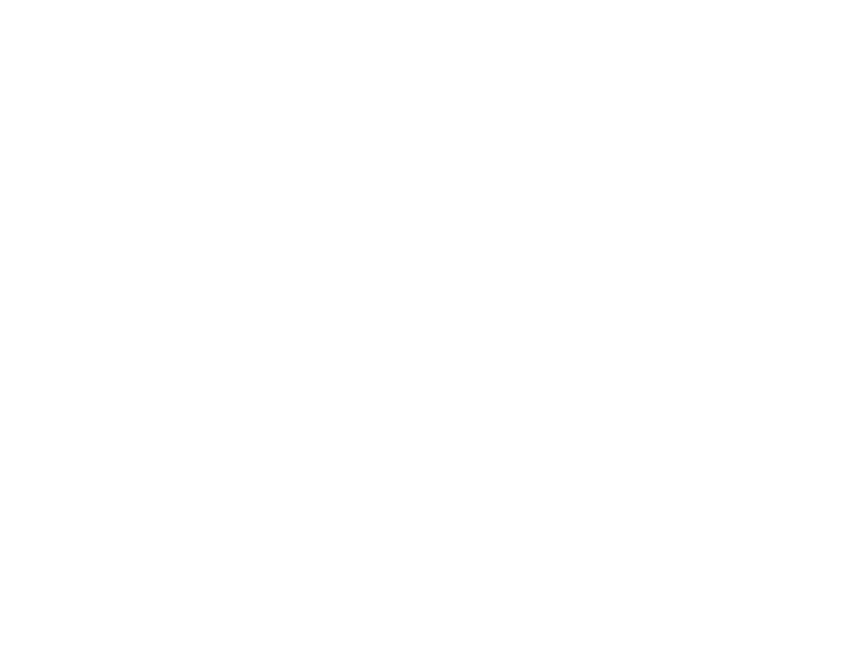 Jupiter Junkie Logo